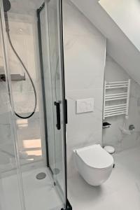 a white bathroom with a toilet and a shower at Cozy Paris Gateway Studio with free parking in Vitry-sur-Seine