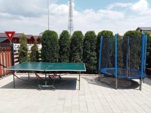 a ping pong table and two blue ping pong rackets at Cabana Corbu Băile Figa in Beclean