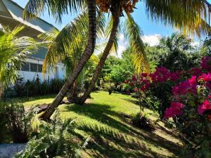 a yard with two palm trees and flowers at LaVieLà in Saint-Claude
