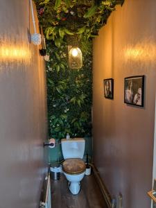 a bathroom with a toilet with a plant wall at Les jardins de Romy in Calais +11 photos