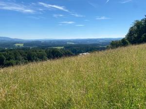 a field of tall grass on top of a hill at Wohnen zwischen Golf und Therme in Bad Waltersdorf