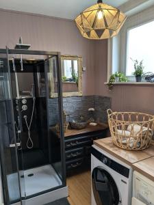 a bathroom with a shower and a washer and dryer at Les jardins de Romy in Calais