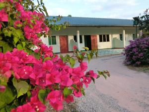 Zahrada ubytování EiDI Homestay