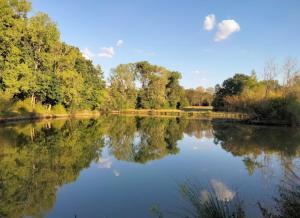 a view of a river with trees in the background at Hôtel Restaurant TOQUE et PASSION in Morhange +1 photo