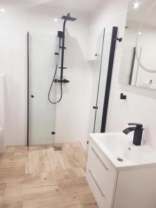 a bathroom with a shower and a sink at Leśna Przystań in Busko-Zdrój