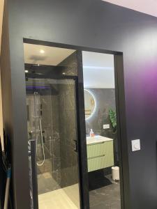 un bagno con doccia e lavandino di Logement atypique-Loma room a Fougères