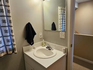 a bathroom with a sink and a mirror at Leelanau Pines in Suttons Bay +33 photos