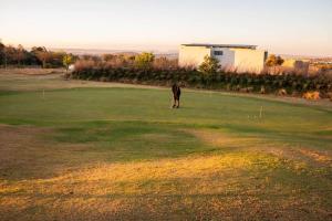 a dog is standing on a golf green at City Break - Luxury Golf Estate & Country Club in Johannesburg