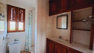 a bathroom with a sink and a toilet and a window at Le Pavillon des Alizés in Gourbeyre