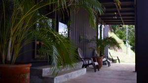 Vrt pred nastanitvijo Nao Hostels Playa Venao