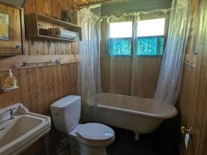 a bathroom with a toilet and a tub and a sink at Trick's Lodge in Kewadin +19 photos