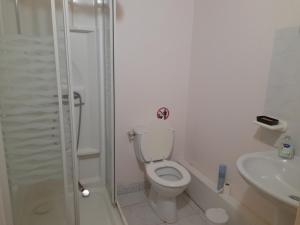 a bathroom with a shower and a toilet and a sink at Domaine de la Tour carrée - 3 Chambres in Benoîtville
