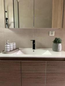 a bathroom sink with a mirror and a plant on it at Nerinalia Residence in Áyioi Apóstoloi