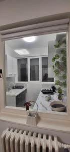 Kuchyň nebo kuchyňský kout v ubytování Apartman Jelena