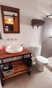Koupelna v ubytování Excelente Ubicación Acogedor Centro Histórico