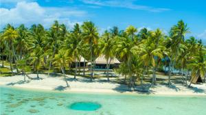 Foto dalla galleria di Motu Fara Private Island Rangiroa ad Avatoru