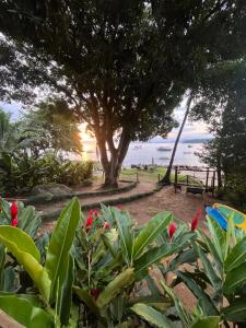 Praia do BananalFauna的种有树、长凳和鲜花的公园