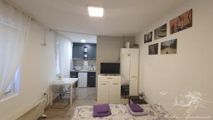 a small apartment with a desk and a kitchen at Molders Apartments in Belgrade