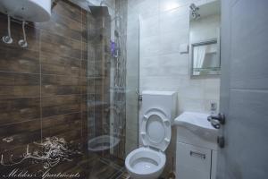 a bathroom with a toilet and a shower at Molders Apartments in Belgrade