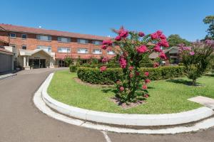 保尔罕希尔斯Mary MacKillop Spirituality Centre Baulkham Hills的院子里有粉红色花的建筑