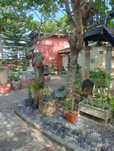 Zahrada ubytování Lombok Sunset Hideaway