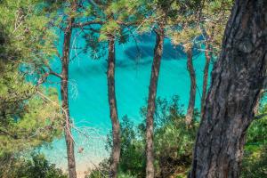 a view of the turquoise water through trees at Armonia Bay Hotel in Kokkari