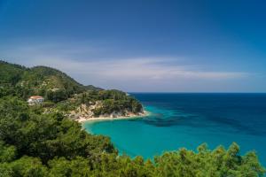 an aerial view of a beach in the ocean at Armonia Bay Hotel in Kokkari