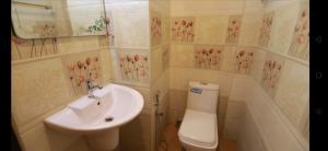 Ένα μπάνιο στο Luxury Houseboat +15 φωτογραφίες