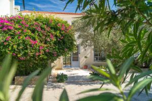 a house with pink flowers in front of it at Armonia Bay Hotel in Kokkari