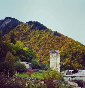 Paesaggio naturale nelle vicinanze dell'affittacamere