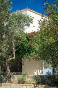 a white building with pink flowering trees in front of it at Armonia Bay Hotel in Kokkari