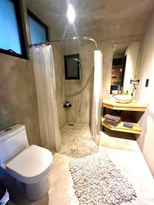 a bathroom with a toilet and a shower and a sink at Mi Refugio Nordico Buho Cabin in San Miguel +34 photos