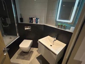 a bathroom with a white toilet and a sink at 1 bedroom luxury apartment in Basingstoke in Basingstoke