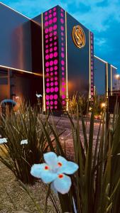 a building with pink lights and flowers in front of it at Sensitive in Santo Antônio