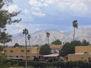 土桑Mountain View Condo with Pool的棕榈树和山脉背景的城市