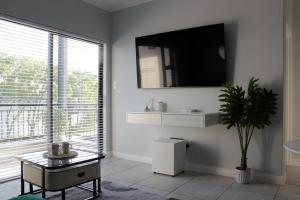 a living room with a tv and a potted plant at The Jade Escape in Cape Town