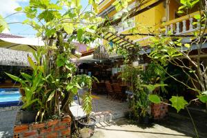Zahrada ubytování Yellow Star Hostel
