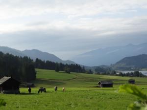 Paesaggio naturale nelle vicinanze dell'affittacamere