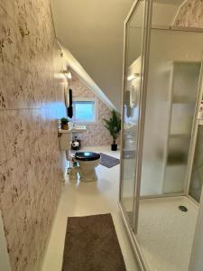 a bathroom with a toilet and a walk in shower at Villa Utsikten Romsdalen in Åndalsnes