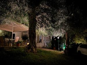 Zahrada ubytování Casa Sofia