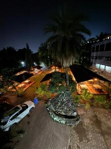 Areca Palms Hotel & Resort外面的花园