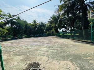 Areca Palms Hotel & Resort内部或周边的网球和/或壁球设施