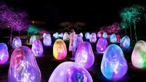 クアラルンプールにあるLucentia Residences By Moonlight Home Stay!の公園内の様々な種類の光 +141枚の写真