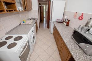 Kuchyň nebo kuchyňský kout v ubytování Apartments Mili