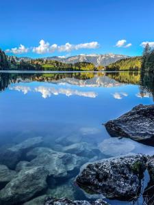 Paesaggio naturale nelle vicinanze dell'appartamento