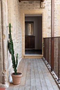 a cactus in a pot sitting on a porch at La Maison des Seigneurs in Cucuron +18 photos