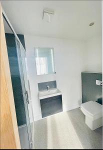 a bathroom with a sink and a toilet at 1st 4 Tennants in Portsmouth