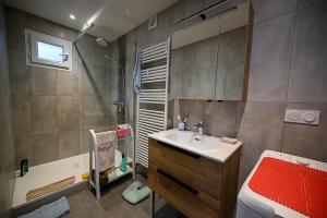 un baño con lavabo y ducha en chalet Les Aplanes appt, en Albiez-Montrond