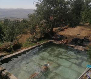 a group of people swimming in a swimming pool at Casa da Moiroa in Sendim