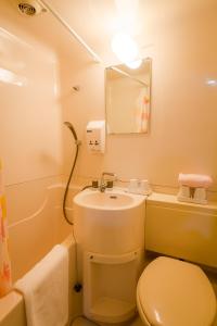 a bathroom with a white toilet and a sink at Hakuba Eagle Lodge in Hakuba